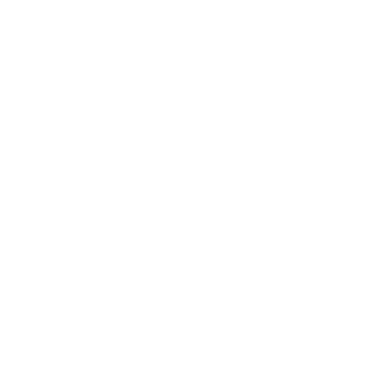 優(yōu)勢(shì)和特征