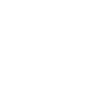 優(yōu)勢(shì)和特征