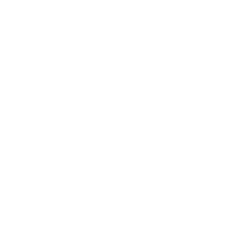 優(yōu)勢(shì)和特征