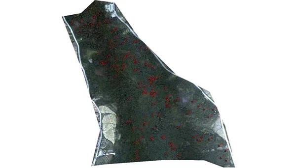 病蟲害監(jiān)測